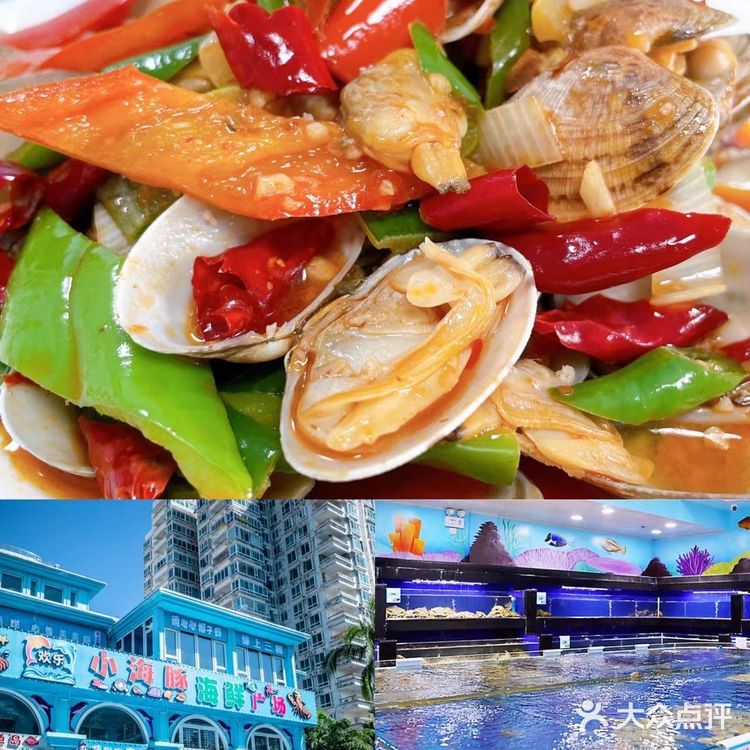三亚探店‖吃了小海豚海鲜我跪了