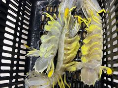 -琼大师东方烤乳猪(亚特兰蒂斯店)