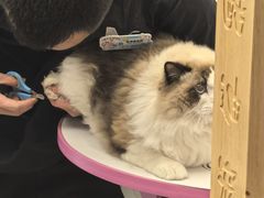 -FAELING PETS美天灵宠物(富力广场店)