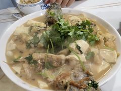 -煲来饱去冷水鱼