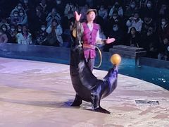 -哈尔滨波塞冬海底世界