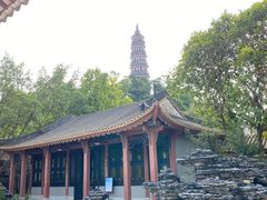 -顺峰山公园