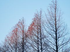 -山王坪喀斯特国家生态公园