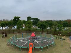 -上海长兴岛郊野公园