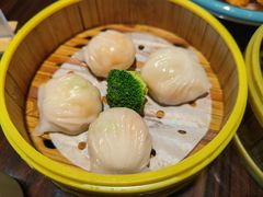 -湛江民大喜来登酒店-采悦轩中餐厅