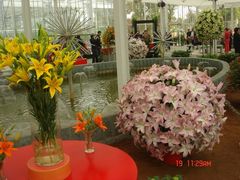 -上海鲜花港