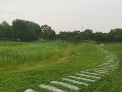 -永定河休闲森林公园