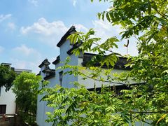 -广富林郊野公园