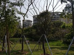 -金山公园