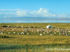 -青海湖国家重点风景名胜区