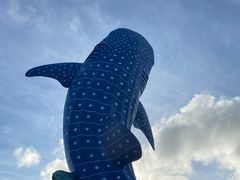 -珠海长隆海洋王国