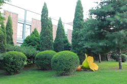 -皇家月府月子中心(沈阳店)