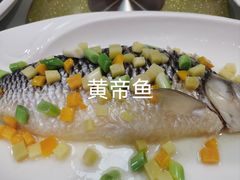 -寻味顺德·南记酒家·传统顺德菜·鱼生(广源路店)