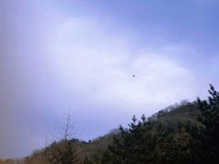 -秦岭风景区