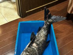 -旭龙鱼头王(航华店)