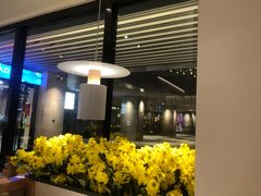 -江渔儿酸菜鱼(东厦一百店)