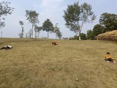 -眉山湿地公园(东坡区)