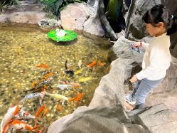 -宝燕乐园(闵行旗舰店)