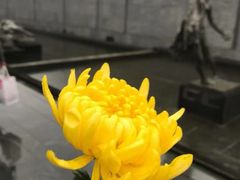 -侵华日军南京大屠杀遇难同胞纪念馆