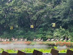 -广州长隆飞鸟乐园