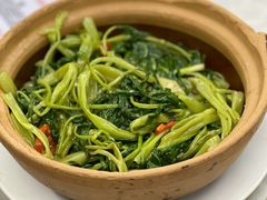 虾酱通菜-凤城康记饭店