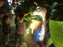 -恐龙探索乐园(磁器口店)