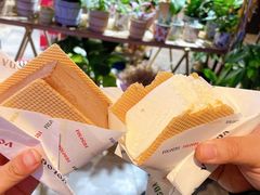 -沃洛格达(万象城n次方店)