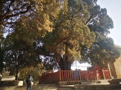-四门塔风景区