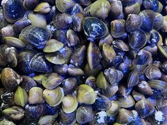 -八仔大富楼·河鲜(西江店)