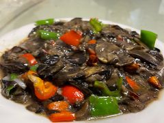 -煲来饱去冷水鱼