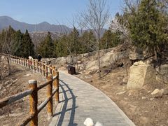-白水寺森林公园