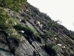 -孟屯河谷景区