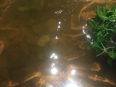 -綱元·海鲜豆捞(明州里店)