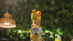 -酷嗒动物文化乐园(cutezoo西溪乐天城店)