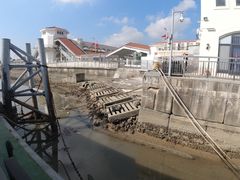 -东澳岛