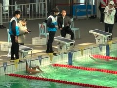 -汕头市游泳跳水馆