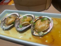 -岭南站NOVA