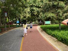 -大兴滨河森林公园