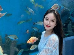 -合肥海洋世界