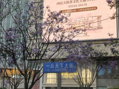 -首开·龙湖成都西宸天街