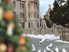 -天津五大道文化旅游区