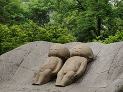 -沈阳植物园