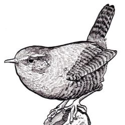 -飛凡TATTOO纹身•原创