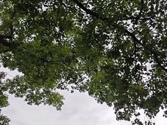 -杭州湖滨银泰in77