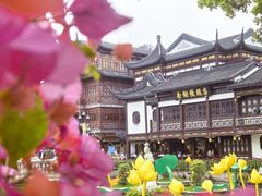 -Peet's Coffee皮爷咖啡(豫园店)