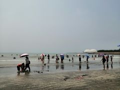 -台山黑沙湾海浴场
