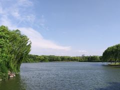 -东华大学(松江校区)