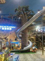 -卡通尼·Safari非洲探索乐园·生日会(金桥国际商业广场店)