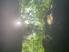 -牛背梁国家森林公园