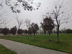 -汉长安城未央宫国家考古遗址公园